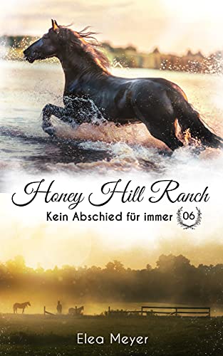 Honey Hill Ranch 06: Kein Abschied für immer