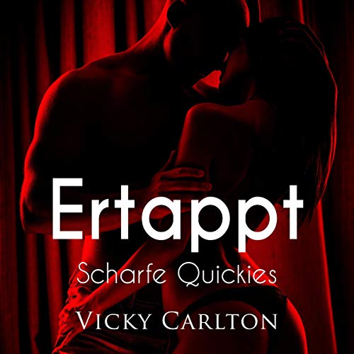 Ertappt. Scharfe Quickies: Erotik-Hörbuch