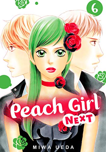Peach Girl NEXT Vol. 6
