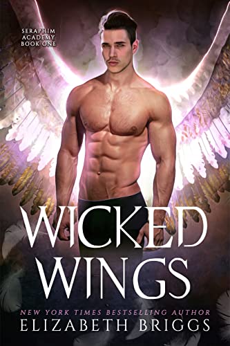Wicked Wings (Seraphim Academy Book 1)