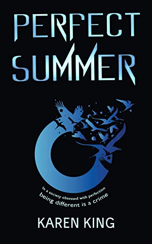 Perfect Summer: A truly eye-opening, captivating summer read