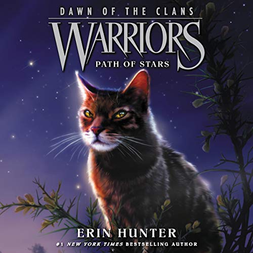 Path of Stars: Warriors: Dawn of the Clans, Book 6