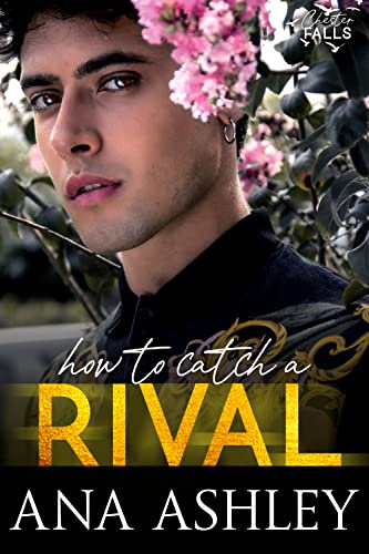 How to Catch a Rival: An enemies to lovers MM romance (Chester Falls Book 2)