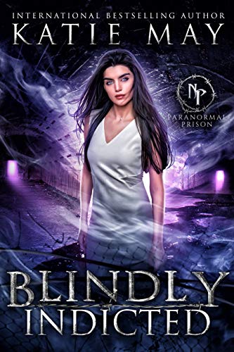 Blindly Indicted (Out of Sight Book 1)
