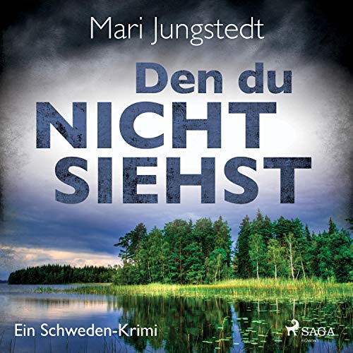 Den du nicht siehst. Ein Schweden-Krimi