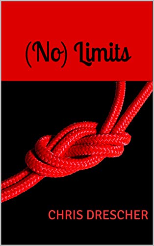 (No) Limits: BDSM Roman