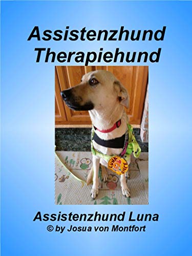 Assistenzhund Therapiehund: Josua von Montfort (Blaue Serie 5)