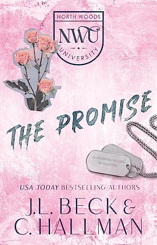 The Promise: A Secret Baby Romance (North Woods University Book 5)