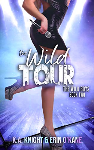 The Wild Tour: The Wild Boys Book 2