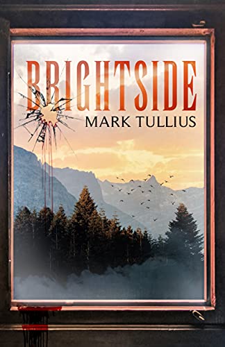 Brightside: Ein psychologischer Thriller (Brightside Saga 1)