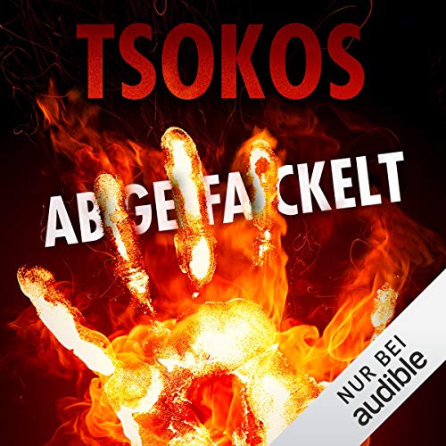 Abgefackelt: Die Paul Herzfeld-Reihe 2