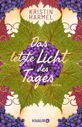 Das letzte Licht des Tages: Roman. Die dramatische Résistance-Geschichte einer französischen Familie bei Ausbruch des 2. Weltkriegs