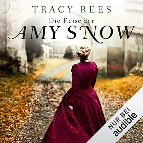 Die Reise der Amy Snow