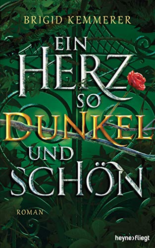 Ein Herz so dunkel und schön: Roman (Emberfall-Reihe 2)
