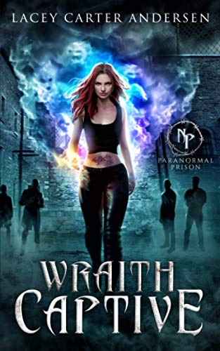 Wraith Captive: A Reverse Harem Romance (Paranormal Prison: Dark Supernaturals, Band 1)