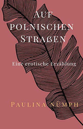 Auf polnischen Straßen: Eine erotische Erzählung