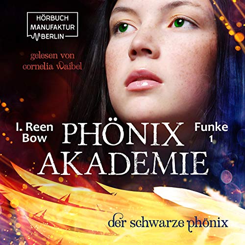 Der schwarze Phönix: Phönixakademie Funke 1