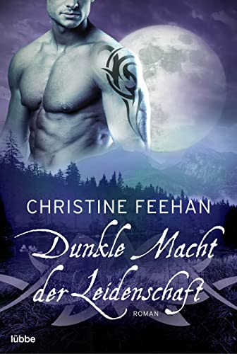 Dunkle Macht der Leidenschaft: Roman (Die Karpatianer 33)
