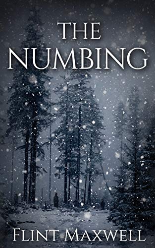 The Numbing: A Supernatural Apocalypse Novel (Whiteout, Band 3)