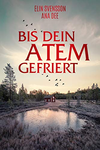 Bis dein Atem gefriert: Schweden-Krimi