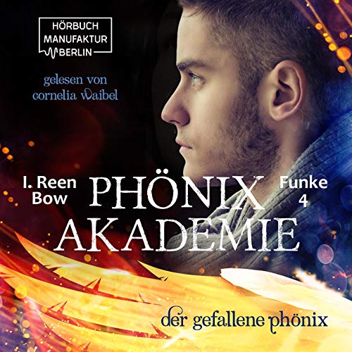 Der gefallene Phönix: Phönixakademie Funke 4