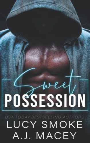 Sweet Possession (Criminal Underground, Band 1)