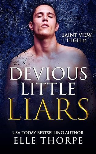 Devious Little Liars (Saint View High Book 1)