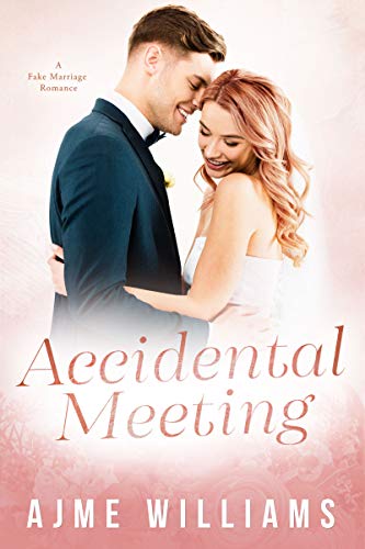 Accidental Meeting: A Fake Marriage Romance