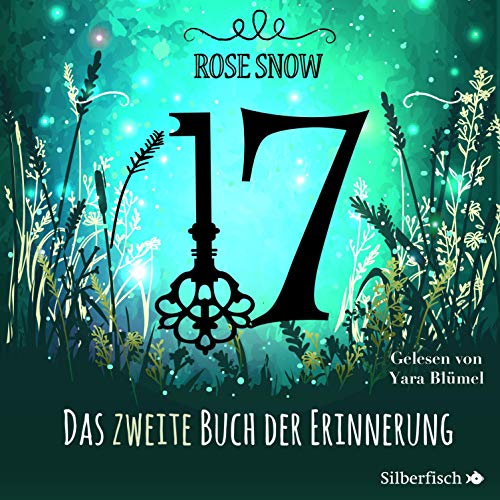 17 - Das zweite Buch der Erinnerung: Die Bücher der Erinnerung 2
