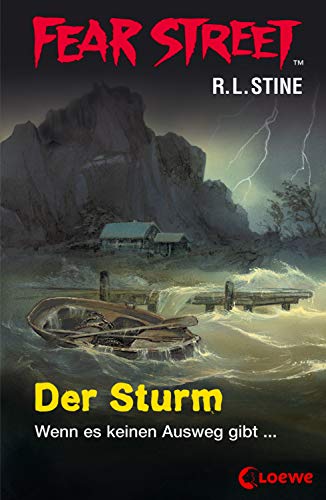Fear Street 55 - Der Sturm: Die Buchvorlage zur Horrorfilmreihe auf Netflix