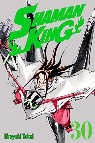 Shaman King Vol. 30