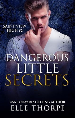 Dangerous Little Secrets (Saint View High Book 2)
