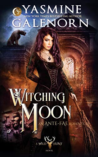 Witching Moon: An Ante-Fae Adventure (The Wild Hunt, Band 12)