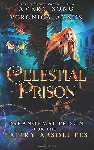 Celestial Prison: A Paranormal Prison Romance (For the Faeiry Absolutes, Band 1)