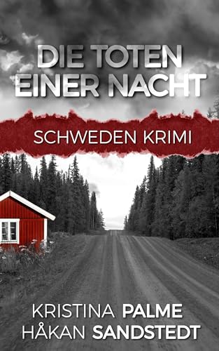 Die Toten einer Nacht: Schweden Krimi (Stina Borglund 1)