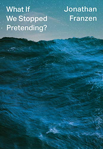 What If We Stopped Pretending? (English Edition)