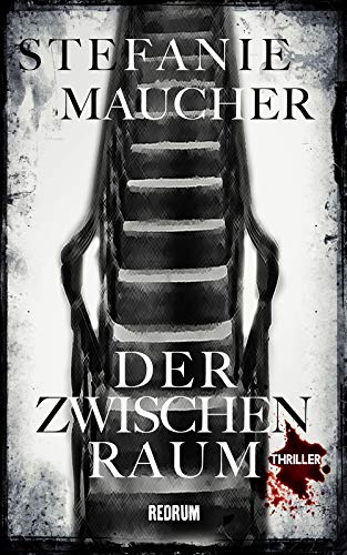 Der Zwischenraum: Thriller