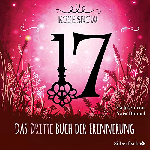17 - Das dritte Buch der Erinnerung: Die Bücher der Erinnerung 3