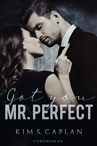 Got You, Mr. Perfect: Liebesroman