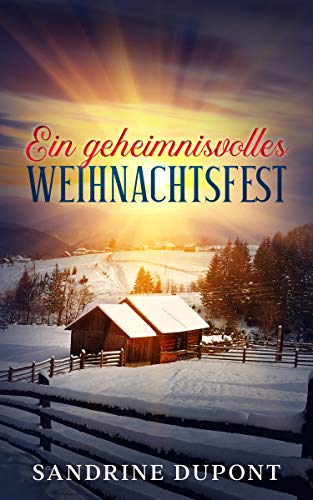 Ein geheimnisvolles Weihnachtsfest (Timetraveller-Reihe 2)