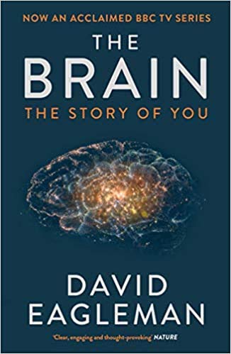 BY David Eagleman The Brain The Story of You Paperback - 7 April 2016