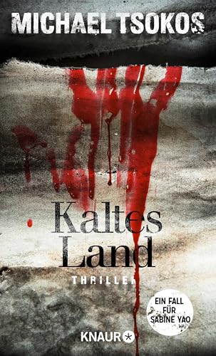 Kaltes Land: Ein Fall für Sabine Yao | SPIEGEL Bestseller (Eiskalte Thriller)