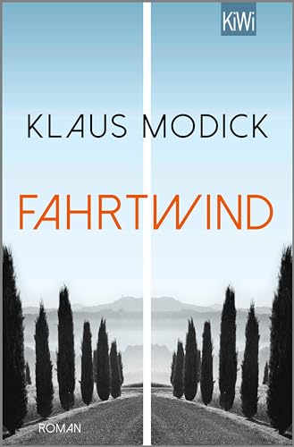 Fahrtwind: Roman