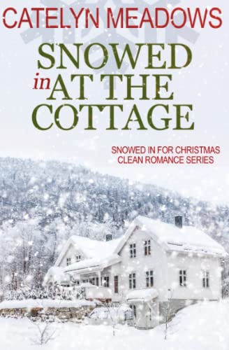 Snowed In at the Cottage (Santa's Radio Romance, Band 1)