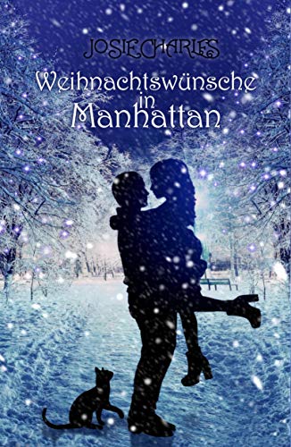 Weihnachtswünsche in Manhattan