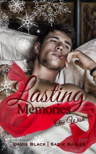Lasting Memories - One Wish: Gay Romance