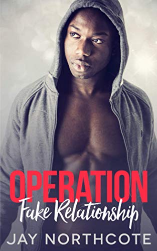 Operation Fake Relationship: An MM Christmas Romance