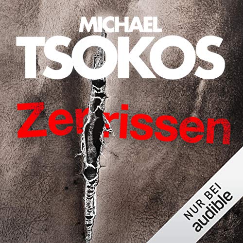 Zerrissen: True-Crime-Thriller 4