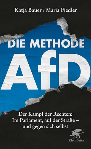 Die Methode AfD: Der Kampf der Rechten: Im Parlament, auf der Straße - und gegen sich selbst
