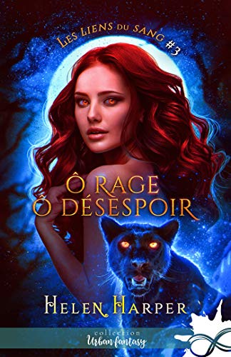 Ô rage ô désespoir: Les liens du sang, T3 (French Edition)